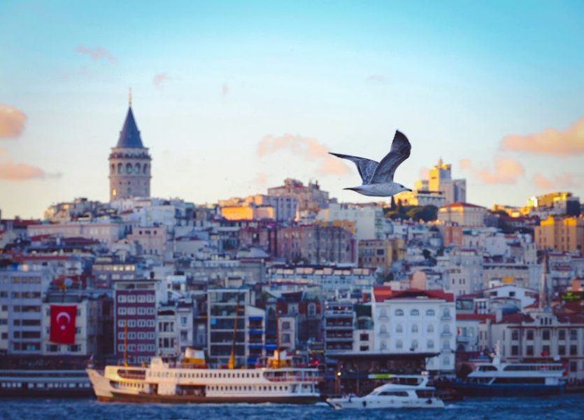 MASTERCHEF ELEME ADAYI 15 EKİM 2025 | MasterChef'te Eleme Adayı Kim Oldu, Dokunulmazlık Oyununu Hangi Takım Kazandı?